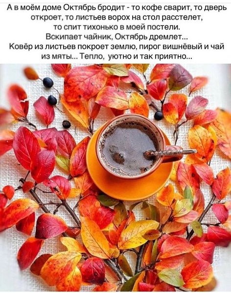   - 14  2024  06:03