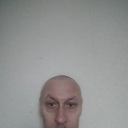 , 51, 