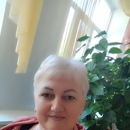 , 53, 