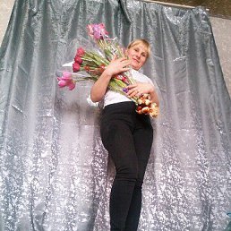 ����, 38 ���, ��������