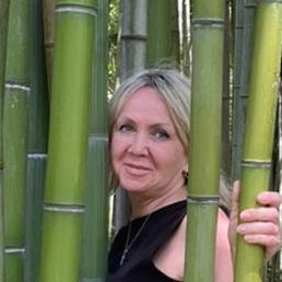 �����, ����������