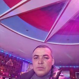 , 42, 