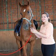 �����, 28 ���, �����