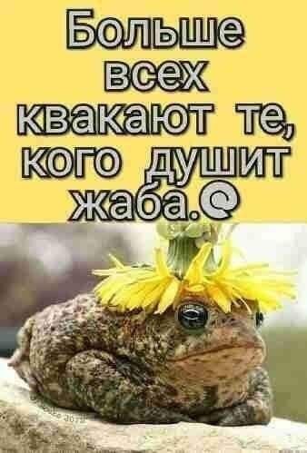 Дорогие женщины! Если я обошла вас в каком - либо конкурсе или игре,это ещё не повод писать мне ...