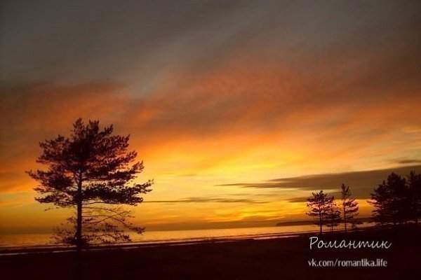 Я всегда чувствую себя счастливым. Ты знаешь, почему? Потому что я ничего ни от кого не жду. ...