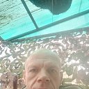 ���� �����, ��������, 52 ���� - ��������� 14 ������ 2024 � ������ ���� ����������