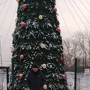 �������� ���������, 38 ���, ������������