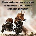 ���� ����, ������, 53 ���� - ��������� 10 ������� 2024 � ������ ������ ��������
