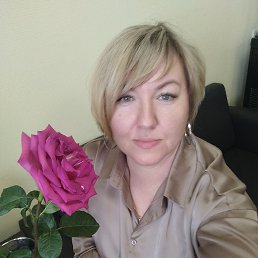 ���� ����, �����, 50 ��� - ��������� 17 ������� 2024