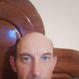 , 44, 