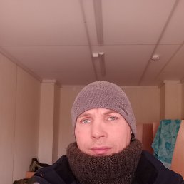 ����, 41 ���, �����������