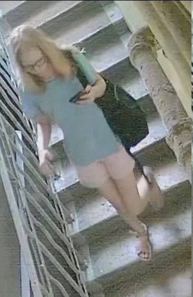 В Питере разыскивают «блондинку без тормозов»: устроила акт великой нужды прямо в парадной. ...