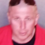 ����, 48 ���, ����������