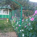 ���� ������, ������ - ��������� 16 ������ 2024 � ������ ���� ����������