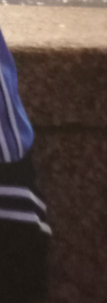 ����������, �������, 61 ���