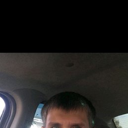 ���� ������, ���, 42 ���� - ��������� 4 ������ 2024