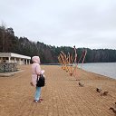 ���� ����, ������ - ��������� 29 ������ 2024 � ������ ���� ����������