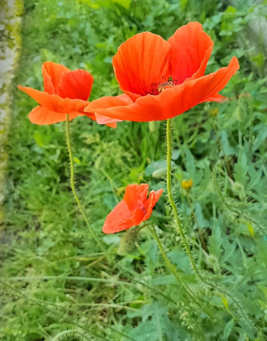 ������ ������ - 14 ������ 2025 � 07:36