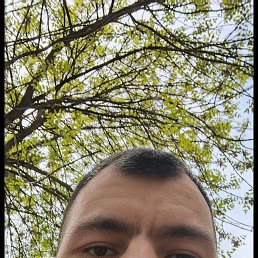 ������, 29 ���, ���