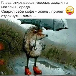 , -, 55 