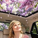 ���� �����, �������, 47 ��� - ��������� 24 ������ 2026 � ������ ���� ����������