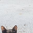 ���� �����, ������, 46 ��� - ��������� 14 ������ 2025 � ������ ������ ��������