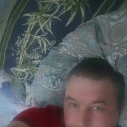 , 42, 