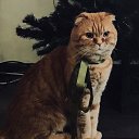 ���� �., �������, 69 ��� - ��������� 9 ��� 2024 � ������ ���� ����������