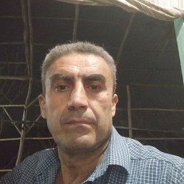 , 54, 