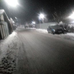 ���� �����, ���������, 43 ���� - ��������� 1 ������ 2024