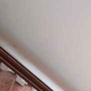 ���, 49 ���, ������