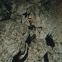 ���� ����, ��������, 40 ��� - ��������� 25 ������ 2026 � ������ ���� ����������