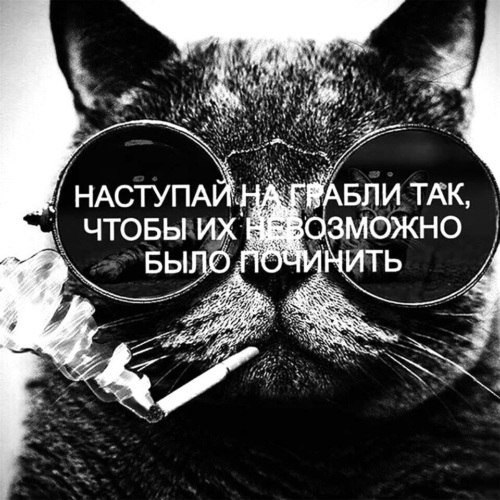  - 6  2025  02:01