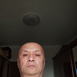 , 56, 