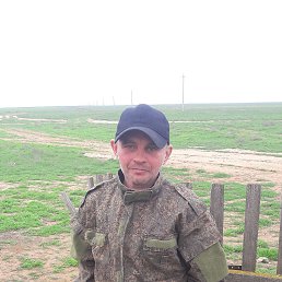 ���� �������, ���������, 40 ��� - ��������� 3 ������ 2026