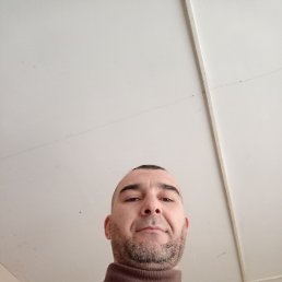 ����, 44 ����, ������