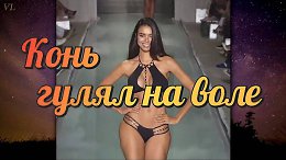 ������� ���� ����� �� ����