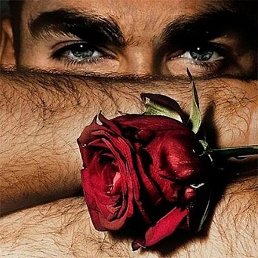 ������, ����, 33 ����