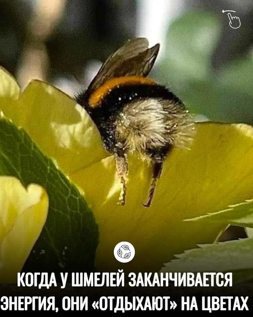 �������������������x�