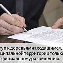 ���� ��������� ��������, ������-��-����, 38 ��� - ��������� 29 ������ 2026 � ������ ������ ��������