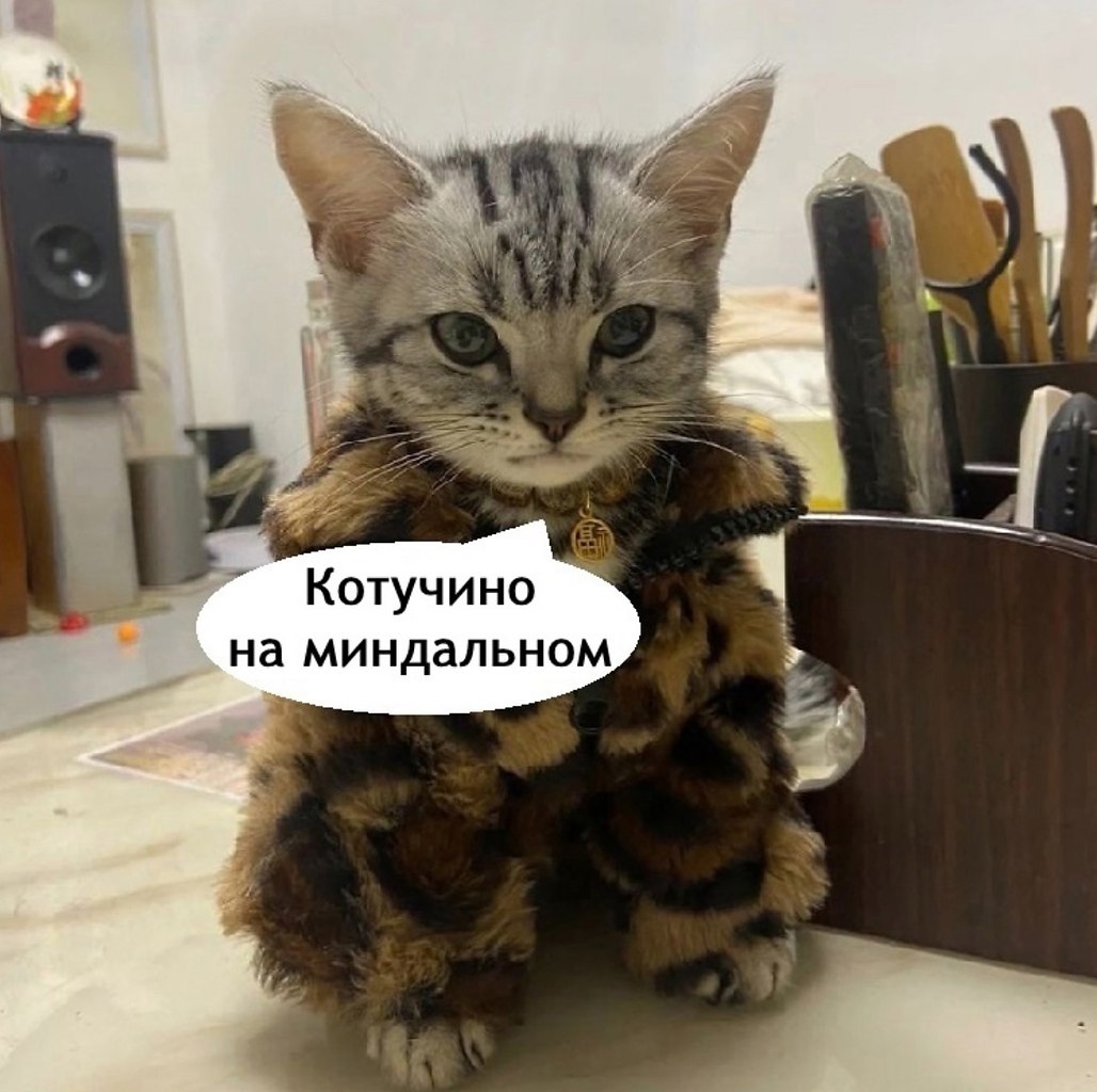   ?
