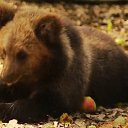 ���� �����, ������, 42 ���� - ��������� 18 �������� 2025 � ������ ���� ����������