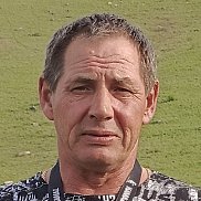 ����� ������, 55 ���, ������