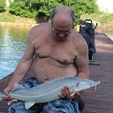���� ������, ������, 65 ��� - ��������� 29 ������� 2023 � ������ ���� ����������