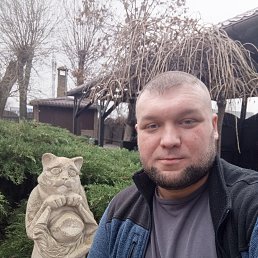 ����, 36 ���, �����������