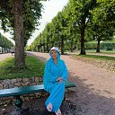  ,  -  5  2025       ,    ,     .