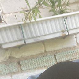 ��������, ������, 48 ���