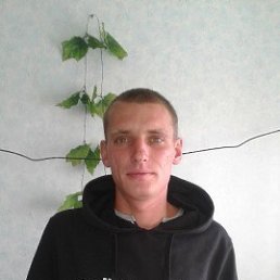 , 37, 