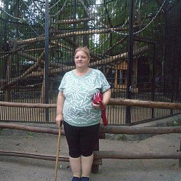 �����, ������, 51 ���