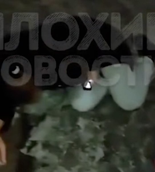 ���������� �������: ��������� ������� �� ������-�����������.� ������� �� ����� ���� ���������� ... - 2